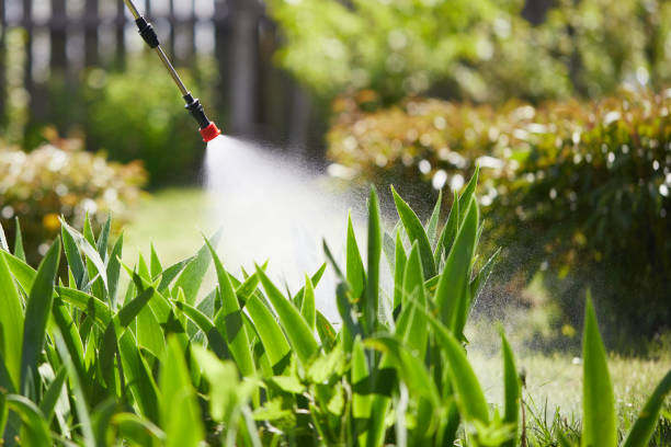 24/7 Emergency Mosquito Control experts in Neuse Forest, NC
